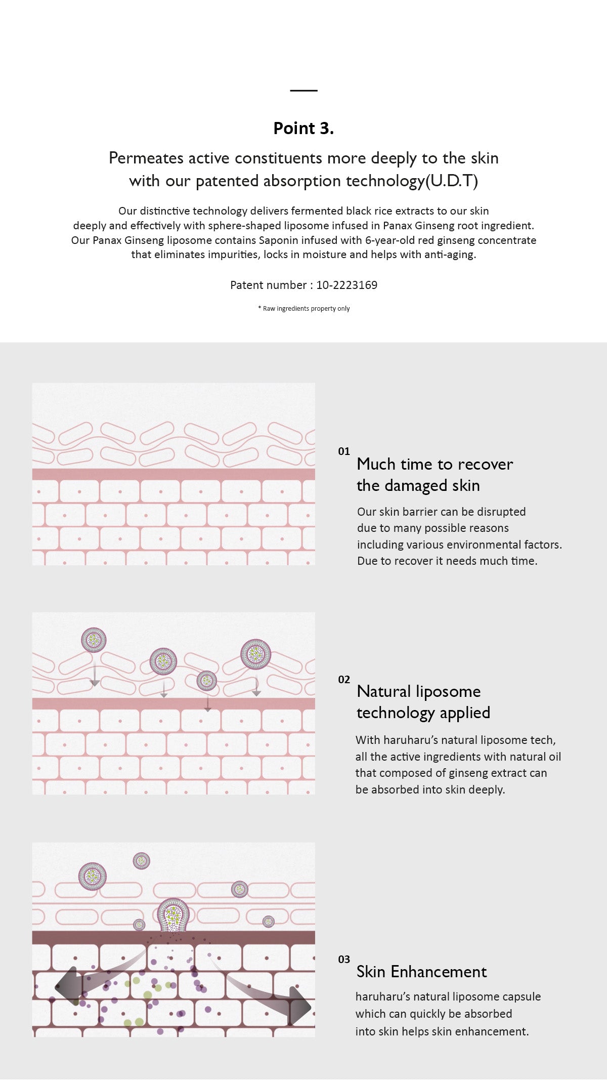 HaruHaru Wonder - Black Rice Bakuchiol Eye Cream (20 ml) - Crème Contour des Yeux Anti-Âge Fermeté 상세 이미지